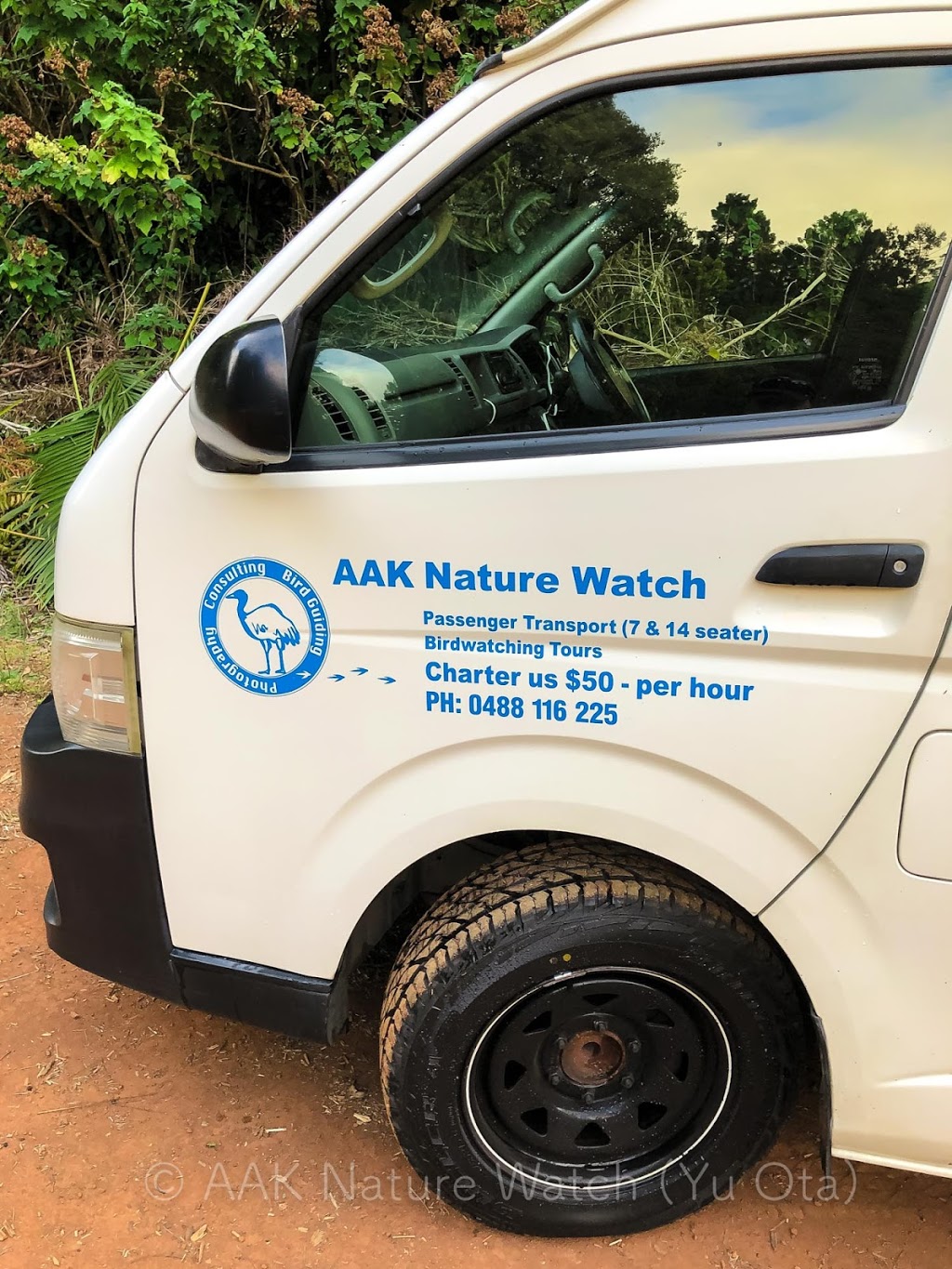 AAK Nature Watch |  | 329 Lake Barrine Rd, Malanda QLD 4885, Australia | 0488116225 OR +61 488 116 225