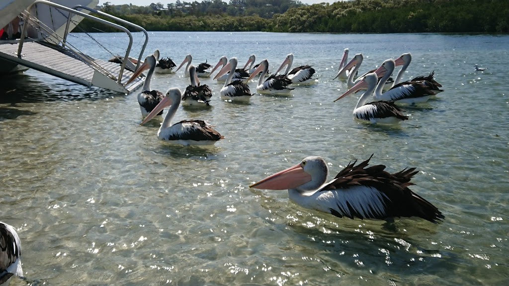 Tweed Estuary Nature Reserve | park | Tweed Heads South NSW 2486, Australia