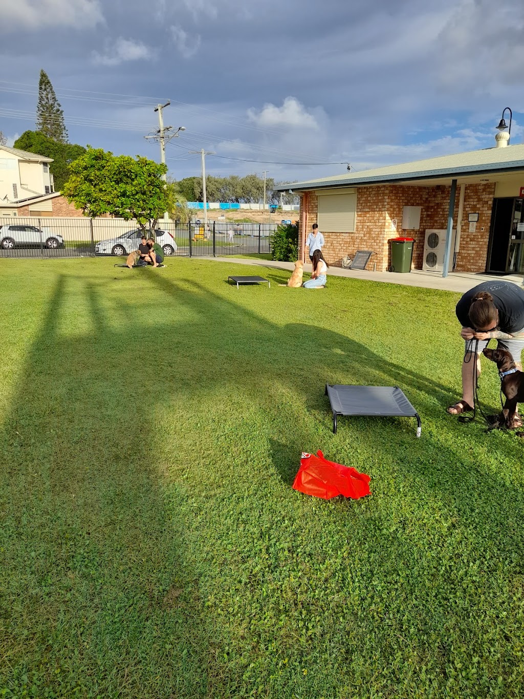 Eclipse Dog Training | Lowanna Dr, Buddina QLD 4575, Australia | Phone: 0493 092 654
