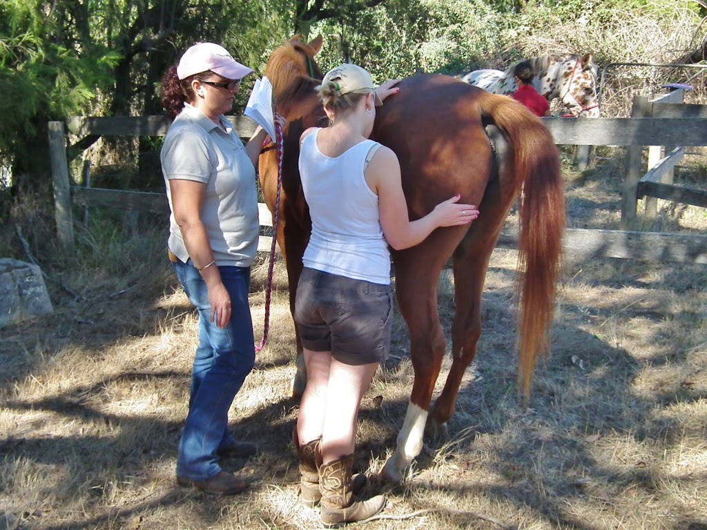 Aust College Animal Tactile Therapy ACATT | university | 111 Spillers Rd, Macclesfield VIC 3782, Australia | 0359689788 OR +61 3 5968 9788