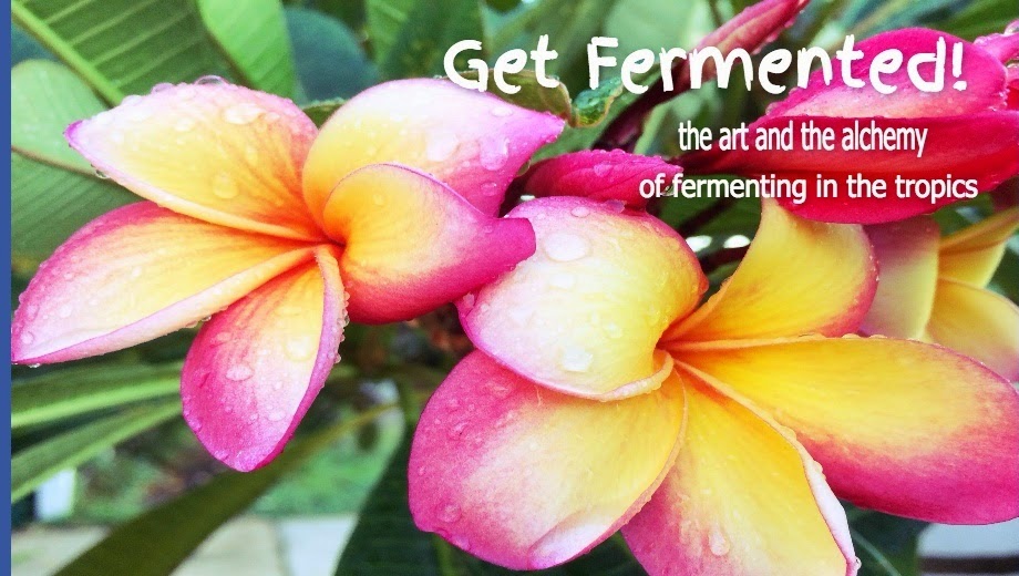 Get Fermented | 64 Rocklands Dr, Darwin NT 0810, Australia | Phone: 0439 471 431