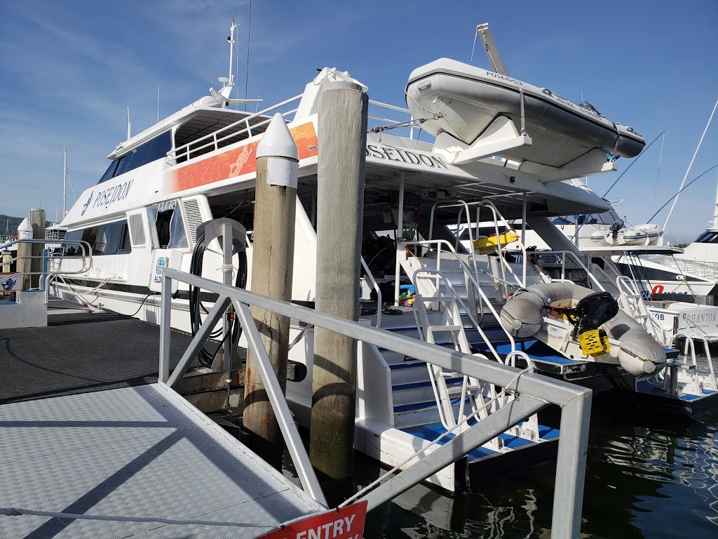 Silversonic - Scuba Diving & Snorkelling | travel agency | Wharf St, Port Douglas QLD 4877, Australia | 0740872100 OR +61 7 4087 2100