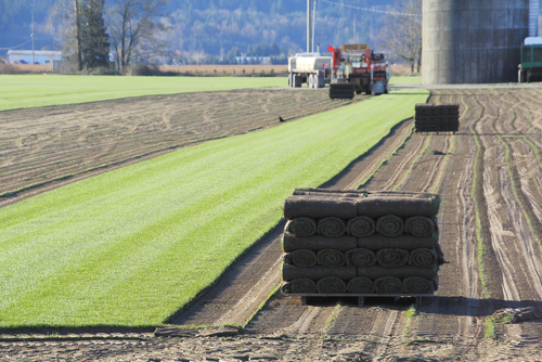Boutique Tankers - Water Cartage | No.3/278 Penrice Rd, Angaston SA 5353, Australia | Phone: 0427 825 287
