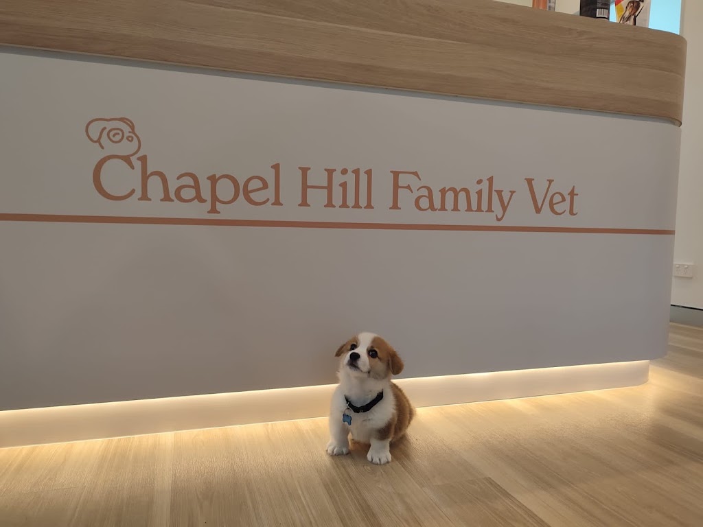 Chapel Hill Family Vet | veterinary care | 2 Kirkdale Rd, Chapel Hill QLD 4069, Australia | 0736202010 OR +61 7 3620 2010