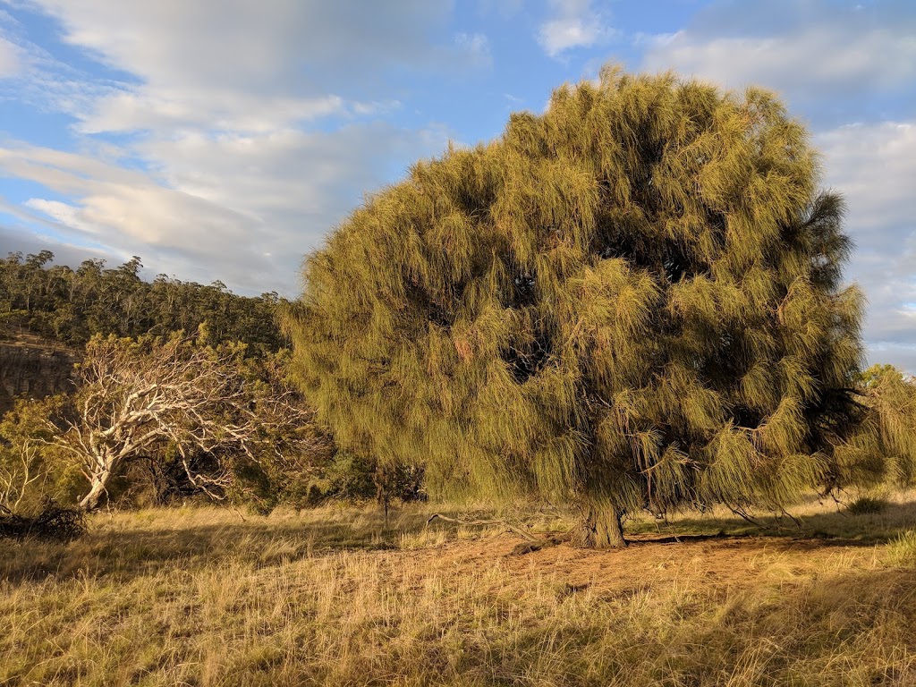East Risdon Nature Reserve | park | 21A Gregson St, Risdon TAS 7017, Australia