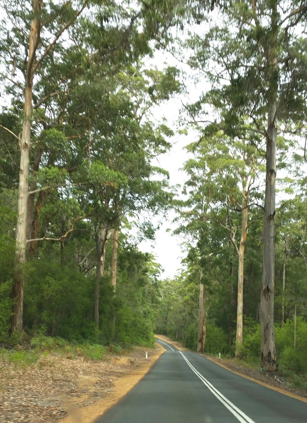 Greater Dordagup National Park | park | Crowea WA 6262, Australia