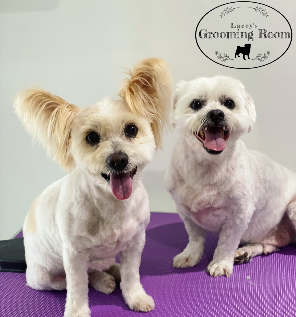 Lacey’s Grooming Room |  | 44 Noosa Cct, Armstrong Creek VIC 3217, Australia | 0490417876 OR +61 490 417 876