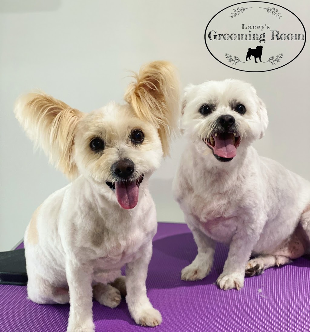 Lacey’s Grooming Room | 44 Noosa Cct, Armstrong Creek VIC 3217, Australia | Phone: 0490 417 876