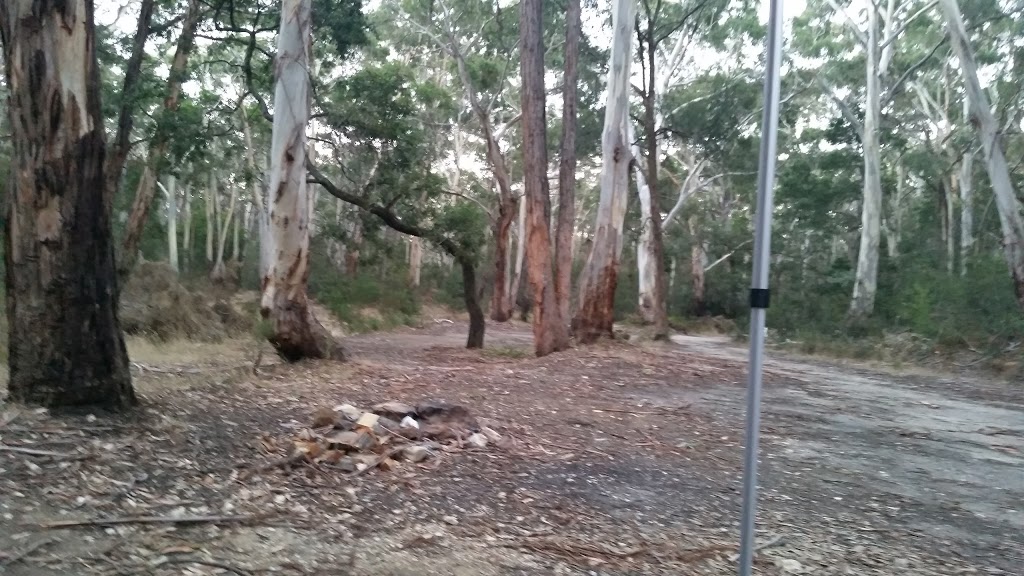 Slaty Creek Campground 1 | campground | Petticoat Link Track, Cabbage Tree VIC 3889, Australia