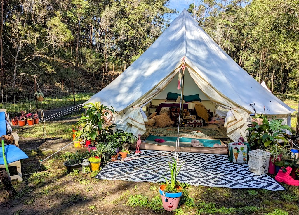 Stony Creek Glamping and Wildlife Haven | 275 Fletcher Rd, Stony Creek QLD 4514, Australia | Phone: 0415 088 182