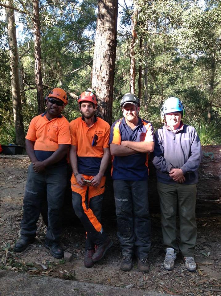 Black Forest Tree Service | 80-82 Beresford Rd, Greystanes NSW 2154, Australia | Phone: (02) 9631 5899