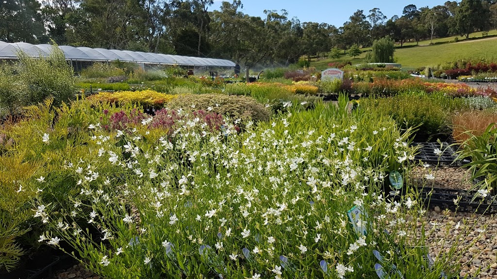 Plant Multi Nursery | 423 Liverpool Rd, Kilsyth South VIC 3137, Australia | Phone: (03) 9762 6909