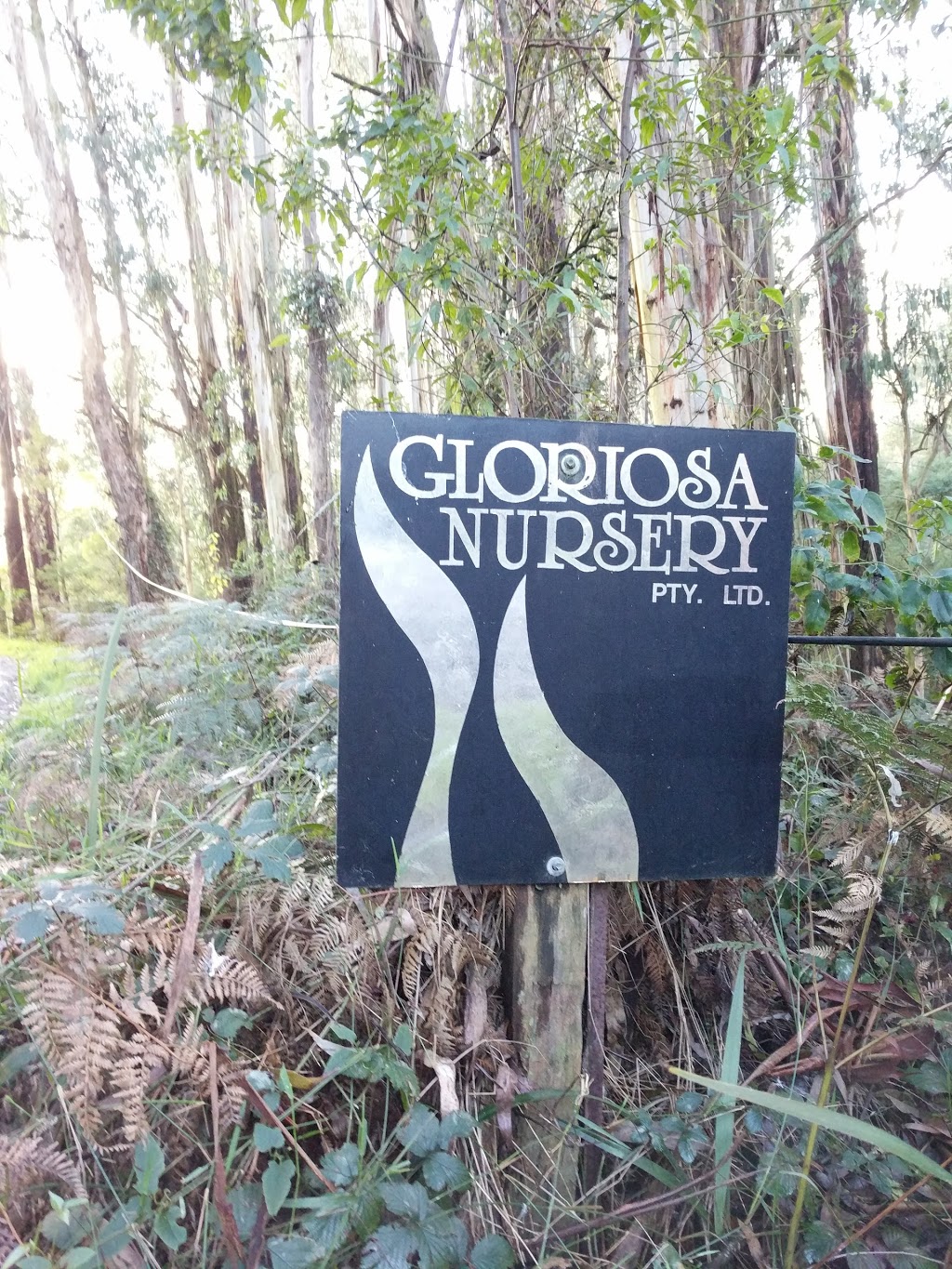 Gloriosa Nursery |  | Avard Rd, Emerald VIC 3782, Australia | 0359683512 OR +61 3 5968 3512