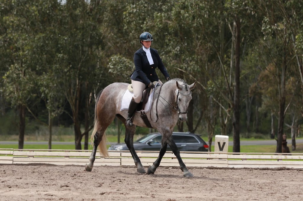 Whyld Equestrian Coaching | 6A Chiltern Rd, Ingleside NSW 2101, Australia | Phone: 0402 020 504