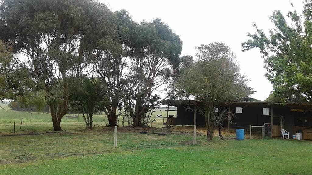 Sea Glimpse Farmstay | 393 Curdievale-Port Campbell Rd, Port Campbell VIC 3269, Australia