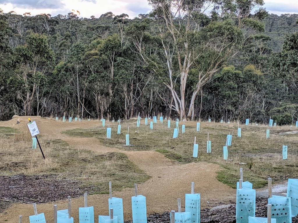 Tolmans Hill Park | park | Tolmans Hill TAS 7007, Australia