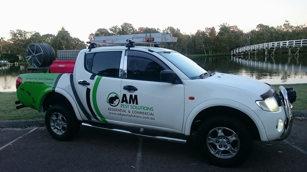 AM Pest Solutions | 20 Noela Pl, Budgewoi NSW 2262, Australia | Phone: 0490 487 032