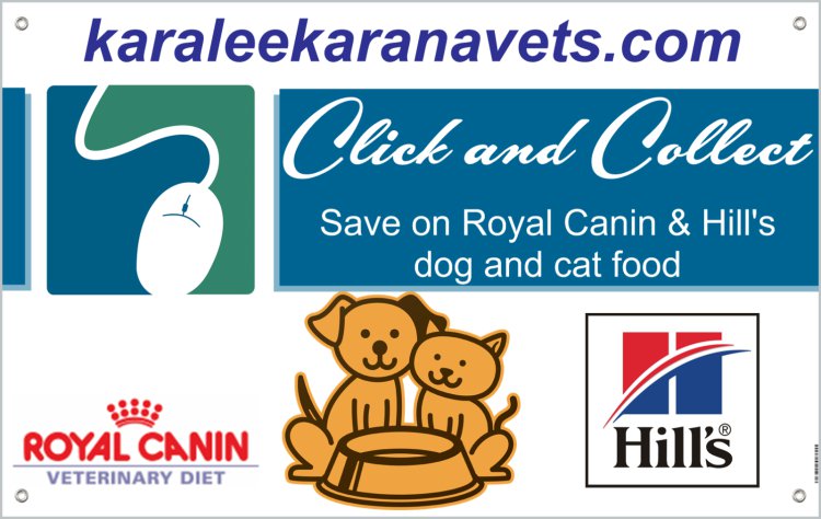 Karalee Karana Veterinary Surgery | pet store | 304 Mount Crosby Rd, Chuwar QLD 4306, Australia | 0732827888 OR +61 7 3282 7888