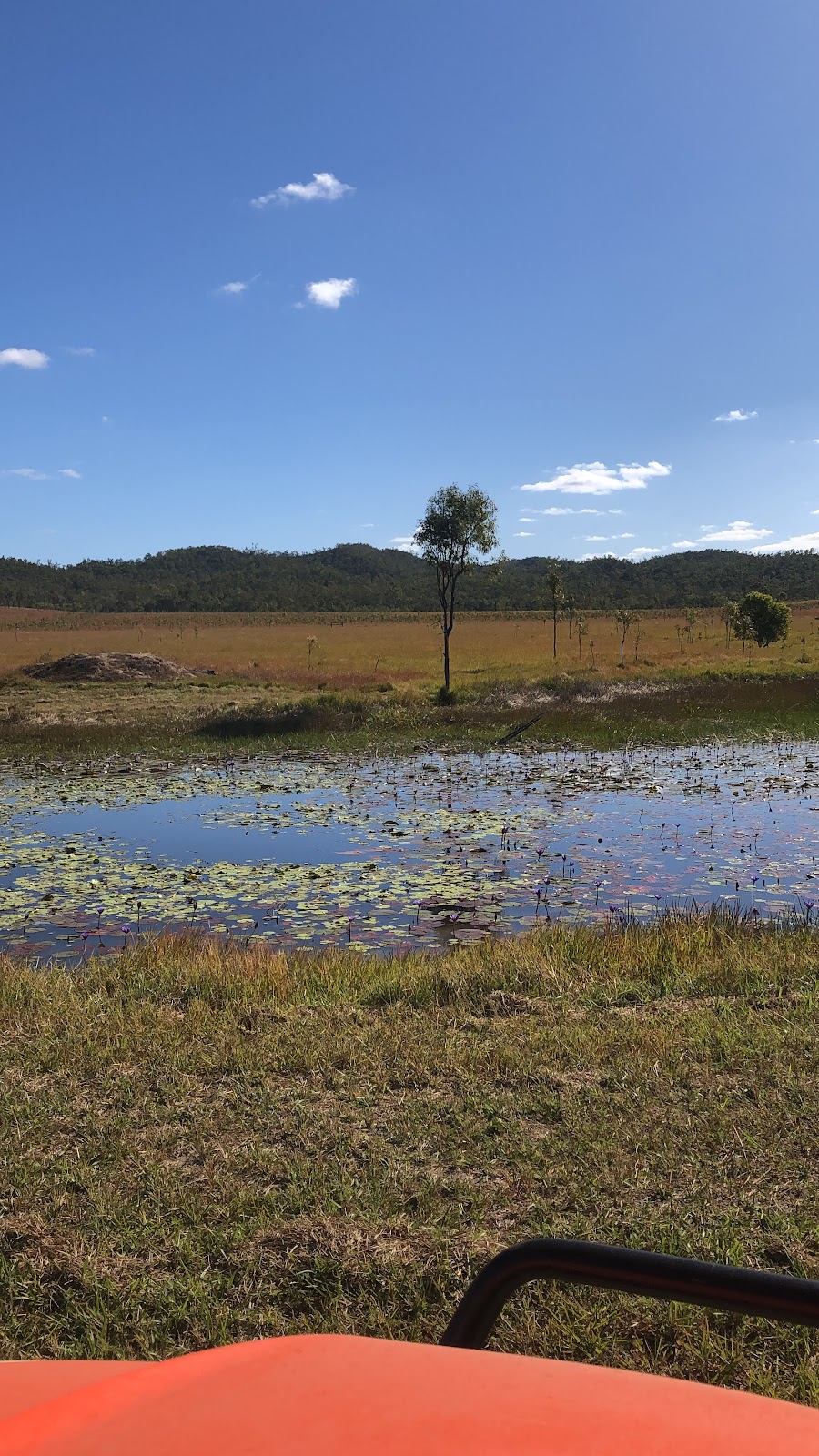 Bloomsbury Grasslands | campground | 527 Lindeman Dr, Bloomsbury QLD 4799, Australia | 0417792704 OR +61 417 792 704