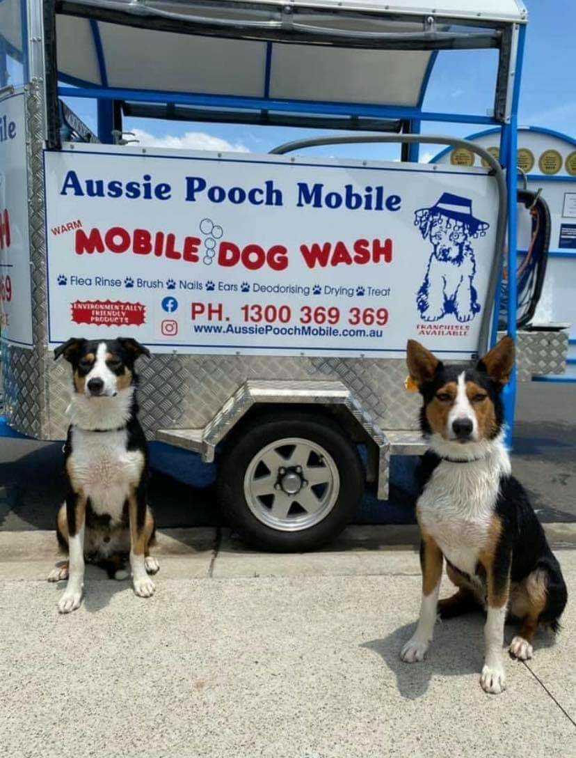 Aussie Pooch Mobile Dog Wash Marangaroo | 54 Ballantine Rd, Warwick WA 6024, Australia | Phone: 1300 369 369