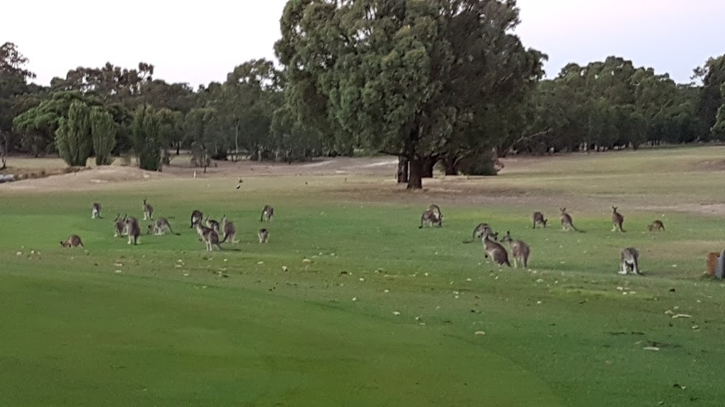 Broadford Golf Club | 30 Horwood Rd, Broadford VIC 3658, Australia | Phone: (03) 5784 1092