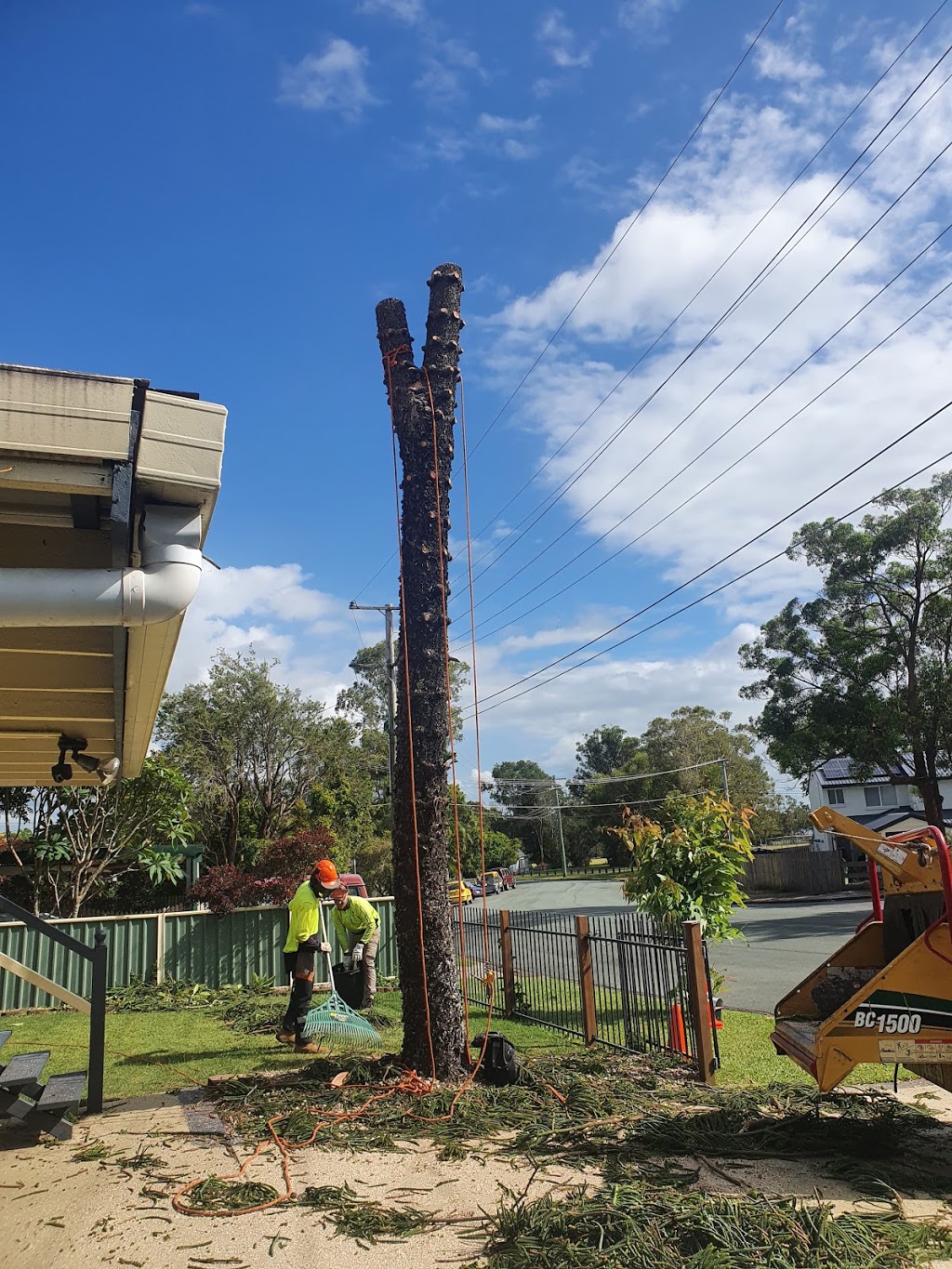 Eden Trees - Tree Removal Logan Brisbane - Arborist | 1322-1334 Chambers Flat Rd, Chambers Flat QLD 4133, Australia | Phone: (07) 5547 0934