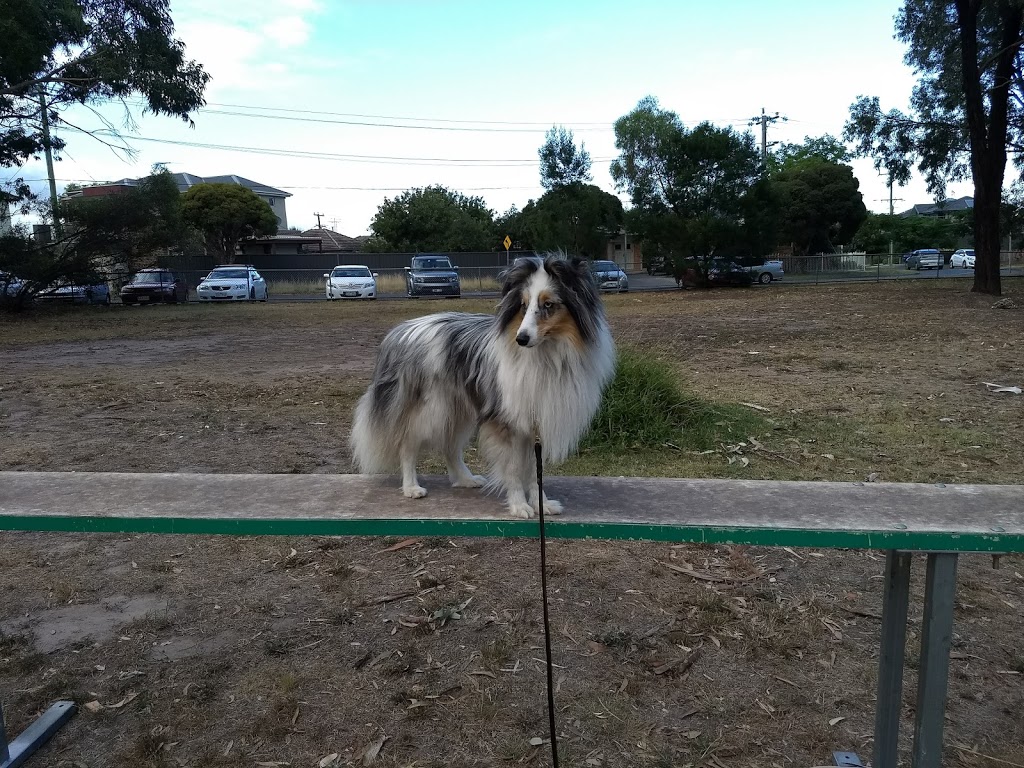 Wiltja Dog Obedience Club | park | 19-21 Curtain St, Kingsbury VIC 3083, Australia