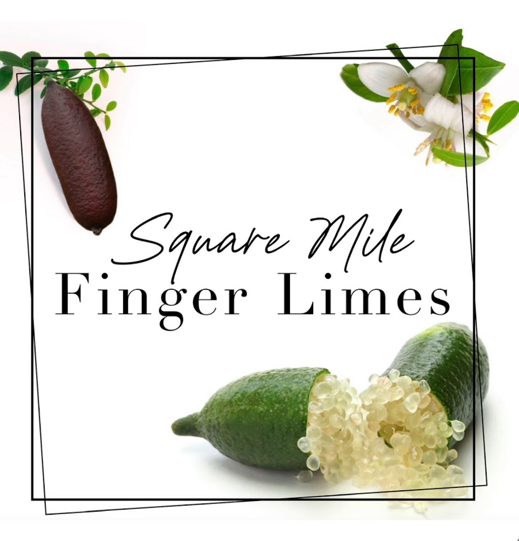 Square Mile Finger Limes | Square Mile, 710 Mount Pleasant Rd, Dalby QLD 4405, Australia | Phone: 0428 768 008