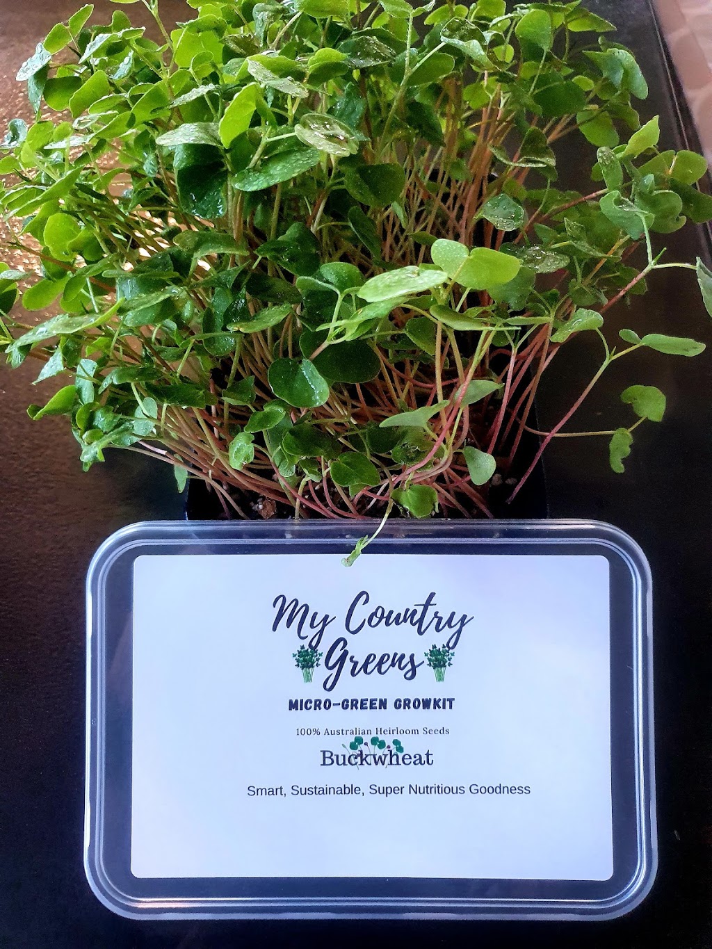 My Country Greens | 201 Warrengunyah Rd, Mount Arthur NSW 2820, Australia | Phone: 0401 559 344