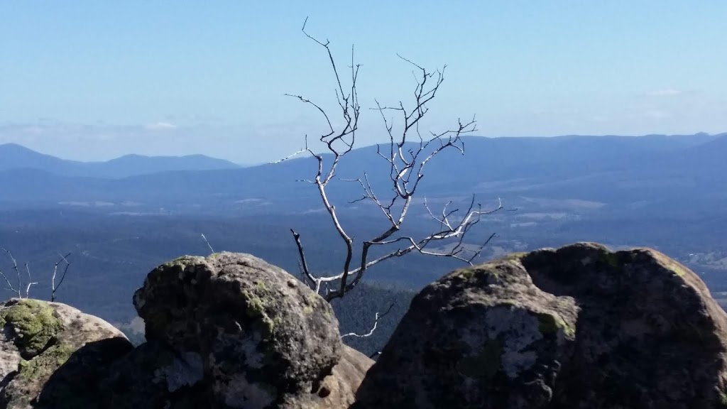 Wells Cave Track | park | Wells Cave Track, Taggerty VIC 3714, Australia