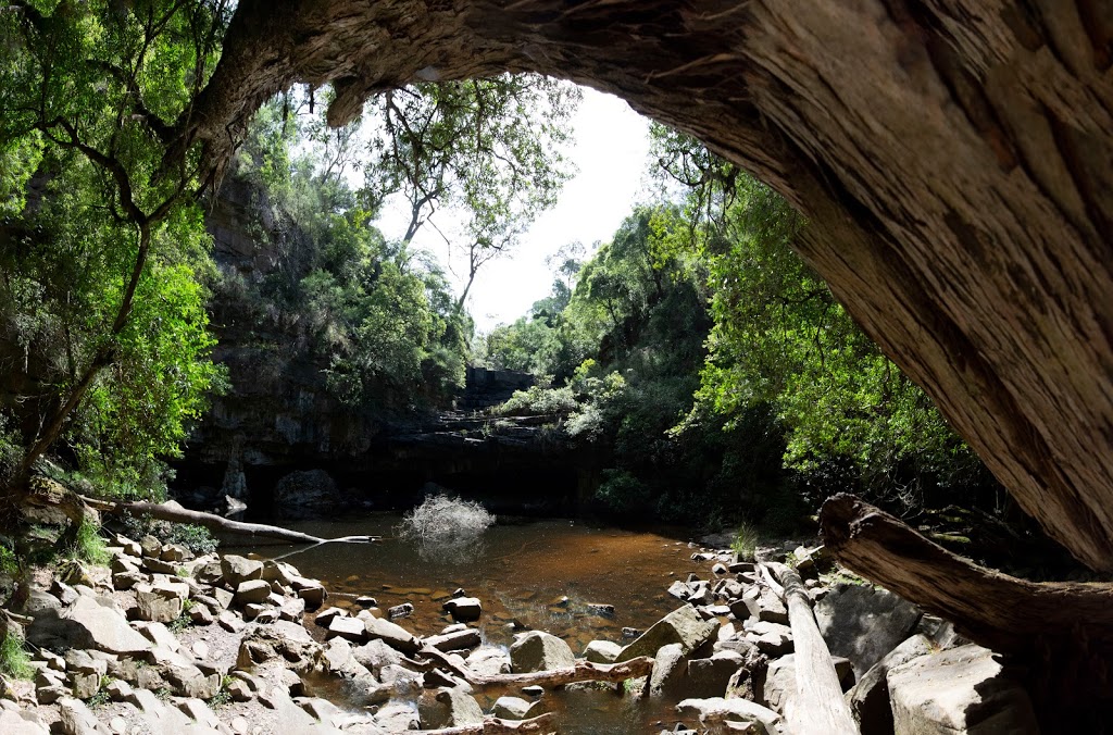 Den of Nargun | tourist attraction | Mitchell River Walking Track, Iguana Creek VIC 3875, Australia | 131963 OR +61 131963