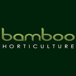 Bamboo Horticulture | 7 Sunata St, Shailer Park QLD 4128, Australia | Phone: 0402 626 262