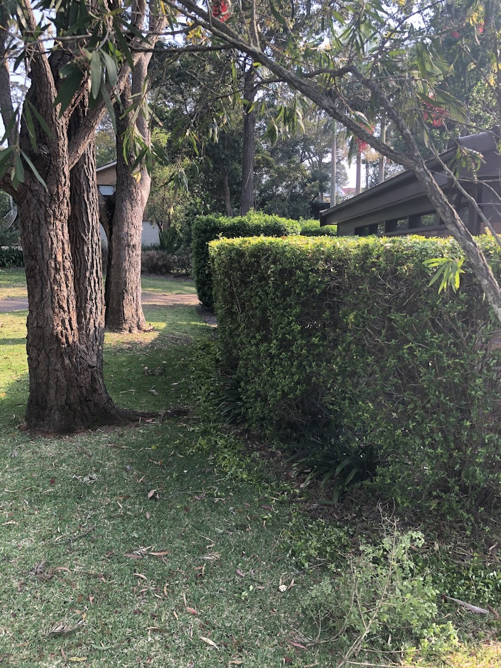 Highlands hedging and tree care |  | Sydney St, New Berrima NSW 2577, Australia | 0402210862 OR +61 402 210 862