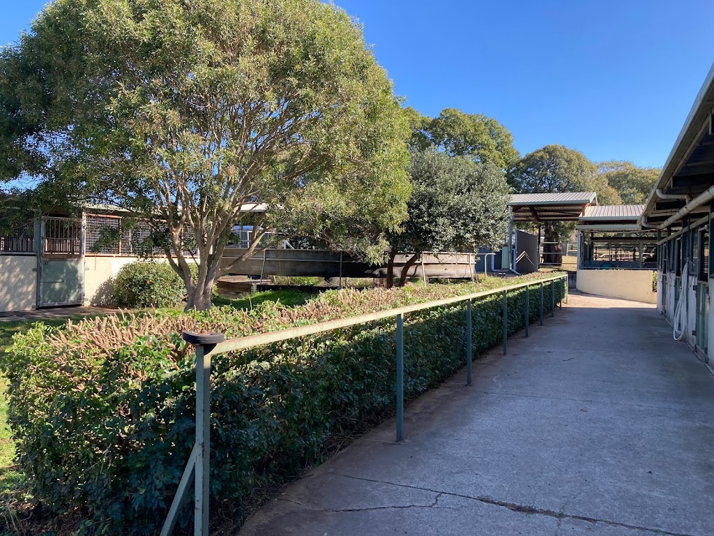 CAJHA Lodge | 985 Kerry Rd, Kerry QLD 4285, Australia | Phone: 0484 379 511