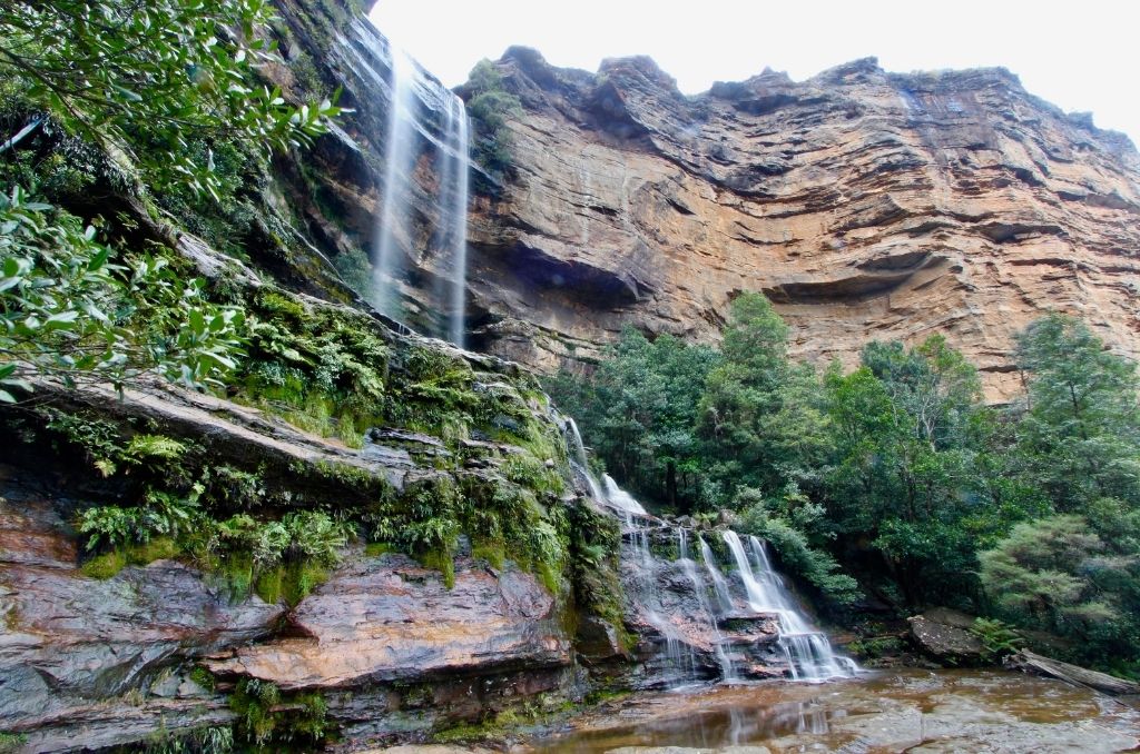 Blue Mountains Tours | 14 Cliff Dr, Katoomba NSW 2780, Australia | Phone: 0498 507 873