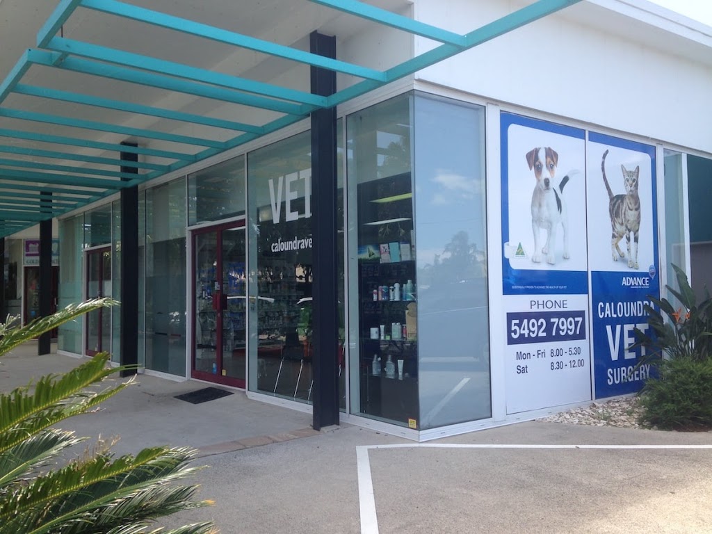 Caloundra Vet Surgery | veterinary care | shop 1/6 Park Pl, Caloundra QLD 4551, Australia | 0754927997 OR +61 7 5492 7997