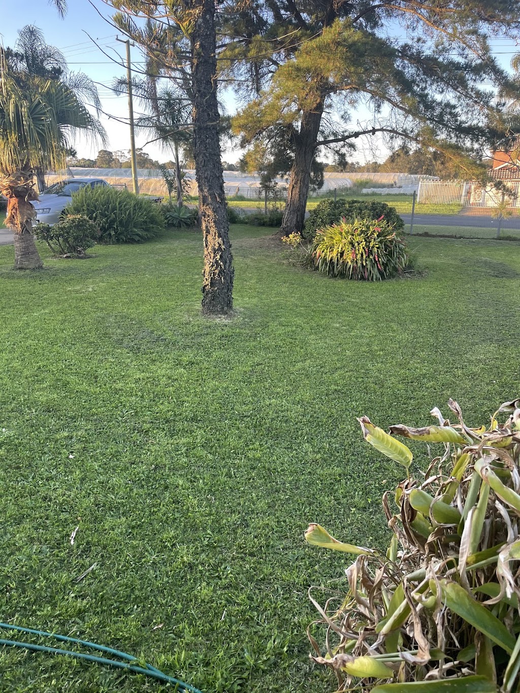 Abcree mowing | Fourth Ave, Austral NSW 2179, Australia | Phone: 0451 300 730