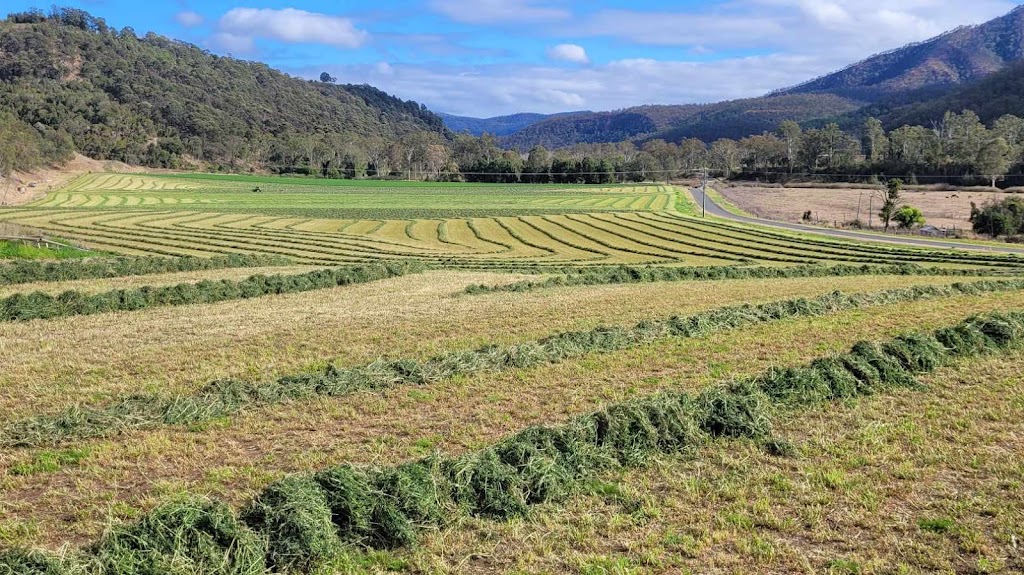 Last Straw Hay Sales | 396 E Haldon Rd, East Haldon QLD 4343, Australia | Phone: 0478 092 561