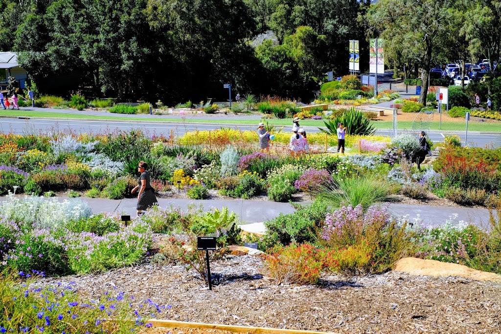 The Australian Botanic Garden Playground | Narellan Rd, Mount Annan NSW 2567, Australia | Phone: (02) 4634 7900