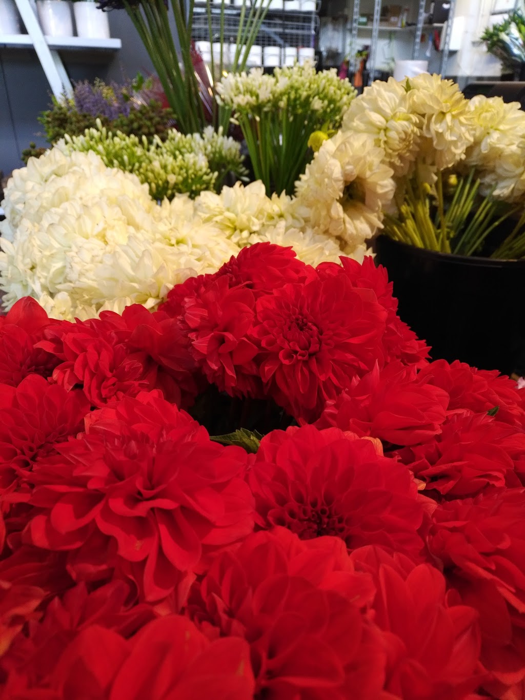 Van Gogh Flowers | florist | 2/4 Mayston St, Hawthorn East VIC 3123, Australia | 0398132300 OR +61 3 9813 2300