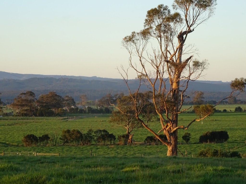 Forest Lodge Farm | 52 Forest Lodge Rd, Jack River VIC 3971, Australia | Phone: (03) 5184 1264