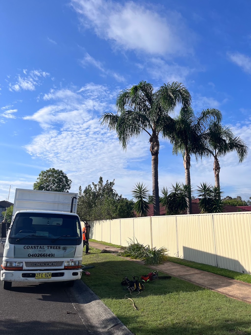 Coastal Trees | 94 Aloha Dr, Chittaway Bay NSW 2261, Australia | Phone: 0402 661 491