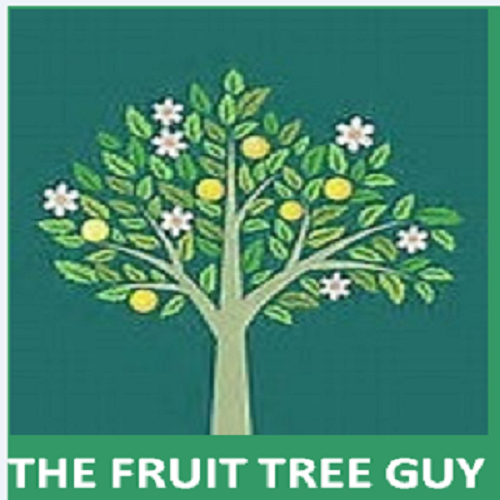 The Fruit Tree Guy |  | 119 Quinliven Rd, Port Willunga SA 5173, Australia | 0473839522 OR +61 473 839 522