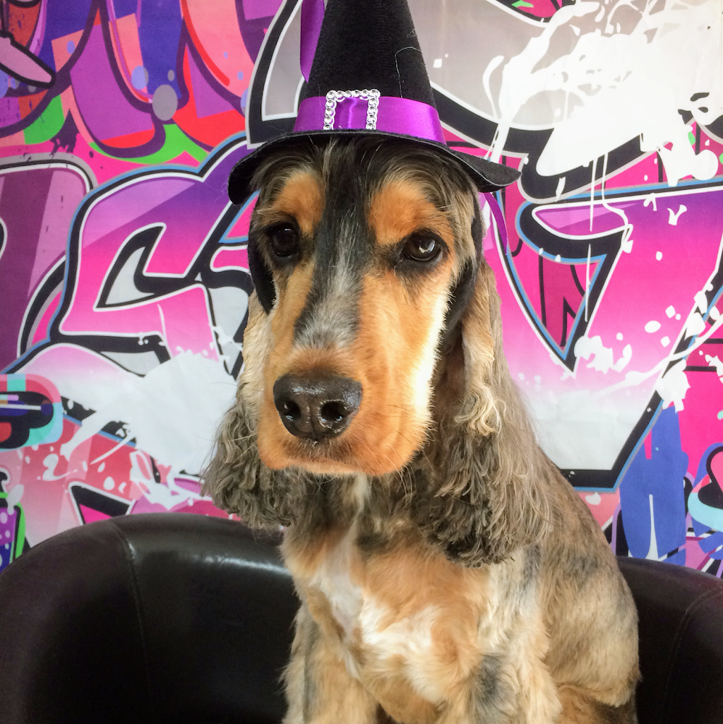 WolfsDen Dog Grooming, Melton | 13 Connolly Dr, Melton West VIC 3337, Australia | Phone: 0499 012 923