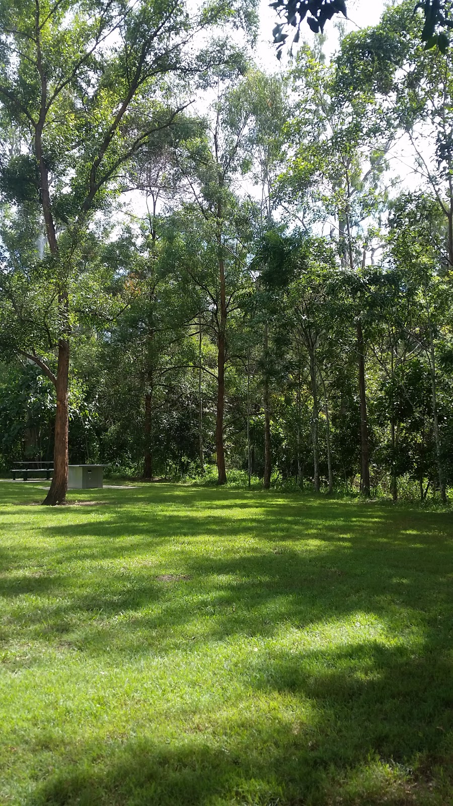 Boyd Terrace Park | park | 16 Rees Way, Brookfield QLD 4069, Australia | 0734038888 OR +61 7 3403 8888
