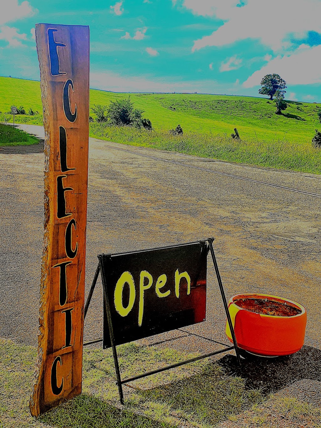 Eclectic the curious Plantman | 3988 Wingham Rd, Comboyne NSW 2429, Australia | Phone: 0477 056 395