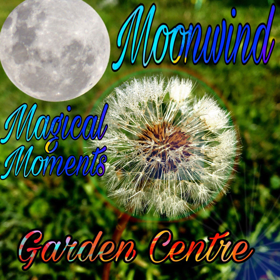Moonwind magical moments garden centre | store | 124 Bidgee Rd, Binjura NSW 2630, Australia | 0423671678 OR +61 423 671 678