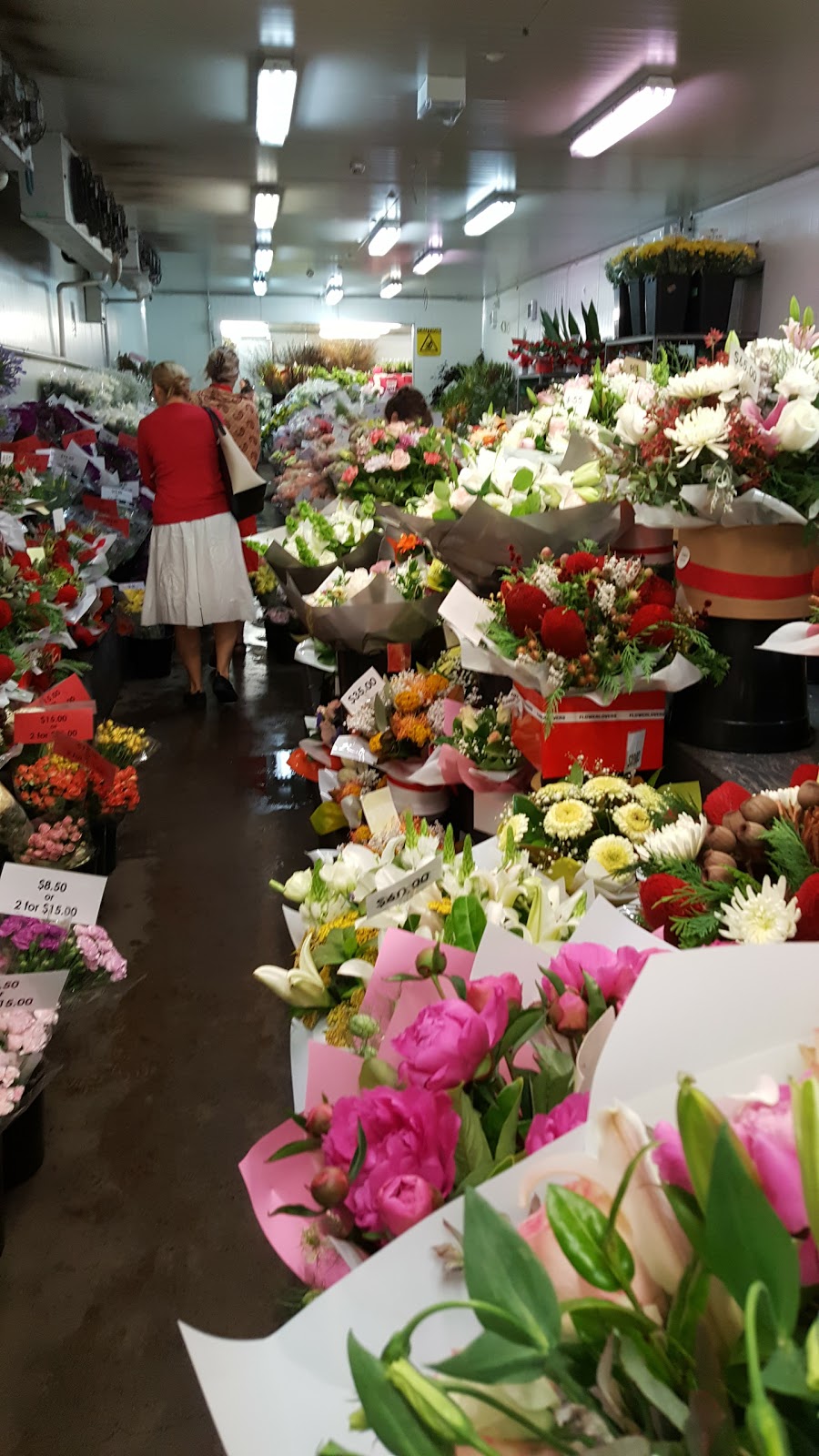 Brisbane Market Flowers | florist | 385 Sherwood Rd, Rocklea QLD 4106, Australia | 0732780266 OR +61 7 3278 0266