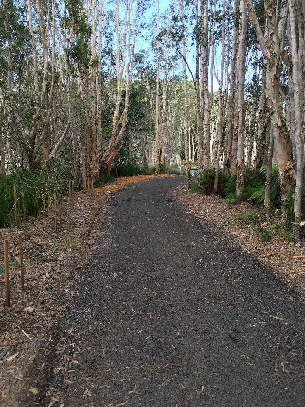 Urunga Wetlands Boardwalk | park | 1 Hillside Dr, Urunga NSW 2455, Australia