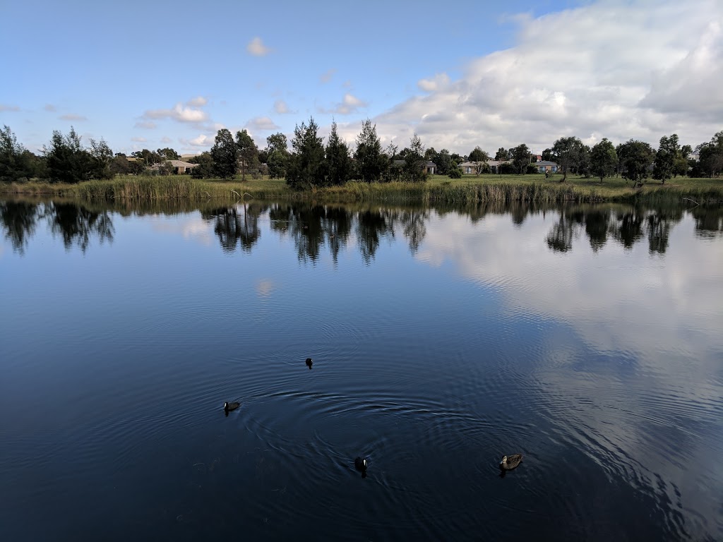 Christina Stead Pond | park | 4 Ballantyne Cres, Franklin ACT 2913, Australia